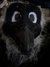 Black bird fursuit for sale  MANCHESTER