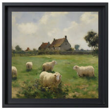 moutons d'occasion  Expédié en Belgium