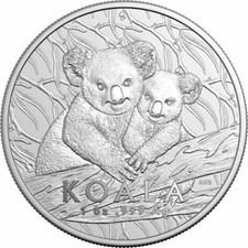 2025 australia koala for sale  Murphy