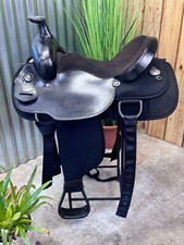 Fabtron western roping for sale  Erie