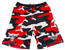 Chicago bulls basketball usato  Torino