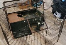 Large rabbit bunny for sale  Manahawkin
