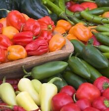 100 pepper seeds for sale  Buffalo