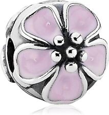 Pandora damen charm gebraucht kaufen  Recklinghausen