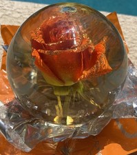 Globo cúpula bola água vidro rosa laranja real preservado vintage - Grande comprar usado  Enviando para Brazil