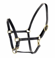 Cavezza per cavallo usato  Italia