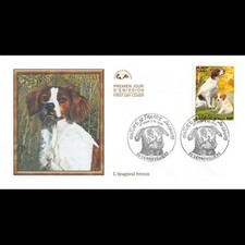 Cef chiens epagneul d'occasion  Crécy-la-Chapelle
