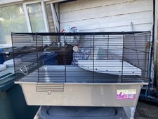 Pets home grey for sale  ORMSKIRK