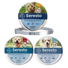 1pc pet collar for sale  LICHFIELD