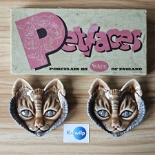 Petfaces siamese cat for sale  HYDE