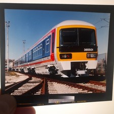 Large transparency emu for sale  BROMSGROVE