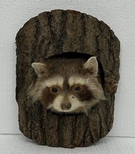 Vtg peek boo for sale  Dixon