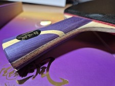 Dhs sun yingsha gebraucht kaufen  Schmallenberg