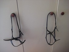 Foal head collars for sale  THATCHAM