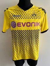 Bvb borussia dortmund gebraucht kaufen  Berngau