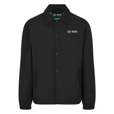 Mercedes amg petronas gebraucht kaufen  Eilenburg