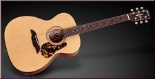Framus 14sv vsnt gebraucht kaufen  Bendorf