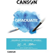 C400110373 canson bloc d'occasion  France