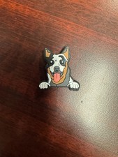Australian cattle dog for sale  Shepherdsville