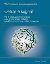 Libri valeria marigo usato  Italia
