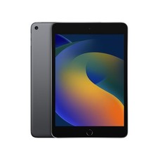Apple ipad mini usato  Italia