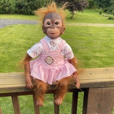 Reborn baby orangutan for sale  Marietta