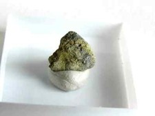 Bismutit lavra itamotinga gebraucht kaufen  Grüna
