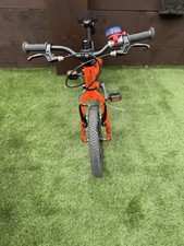 Black mountain pinto for sale  BASILDON