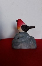 Oiseau siffleur d'occasion  Saint-Cannat