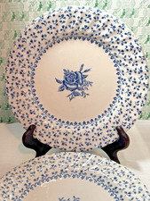 Royal victoria ironstone for sale  SALISBURY