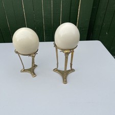 Genuine ostrich egg for sale  Seattle