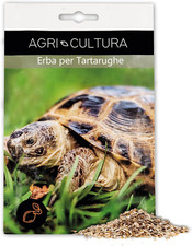 Semi erba per usato  Roma
