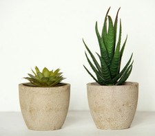 Mini artificial succulent for sale  Alma