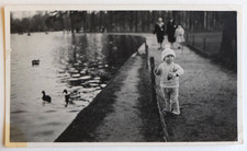 Canards parc nourrit d'occasion Canards parc nourrit d'occasion  Rouen-