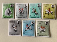 South arabia horses for sale  BEXHILL-ON-SEA