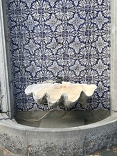 Muschelhälfte riesenmuschel t gebraucht kaufen  Düren