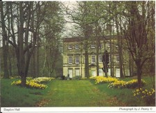 Superb scarce postcard for sale  UK