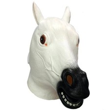 Elegant white horse for sale  Warren
