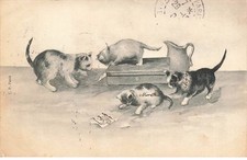 MIKIFP9-016- GATOS Y MALETA comprar usado  Enviando para Brazil