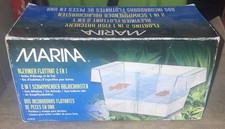 Marina fish breeding for sale  BURTON-ON-TRENT