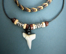 Real sharks teeth for sale  WOKINGHAM