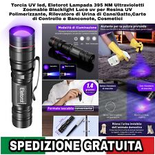 Torcia led lampada usato  Casapesenna