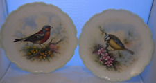 royal albert bird plates for sale  WALLASEY