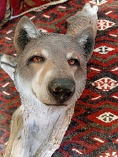 Wolves ornament walk for sale  MALDON