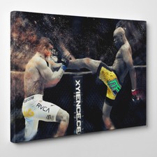 Anderson silva framed for sale  EASTBOURNE