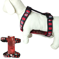 Pettorina cane taglia usato Pettorina cane taglia usato  Vaiano