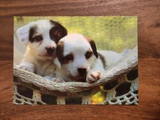 Hundepostkarte finnland person gebraucht kaufen  Borna