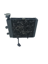 Radiatore acqua aprilia usato  Massa di Somma