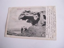 Sassari capo orso usato  Asti