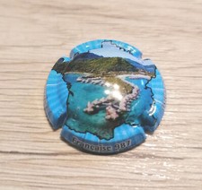 Capsule pétillant collectivit d'occasion  La Ferté-Saint-Aubin